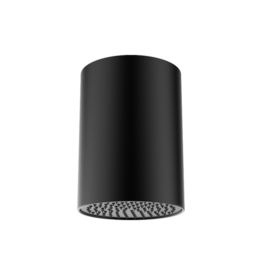 Vòi sen gắn trần 257mm
